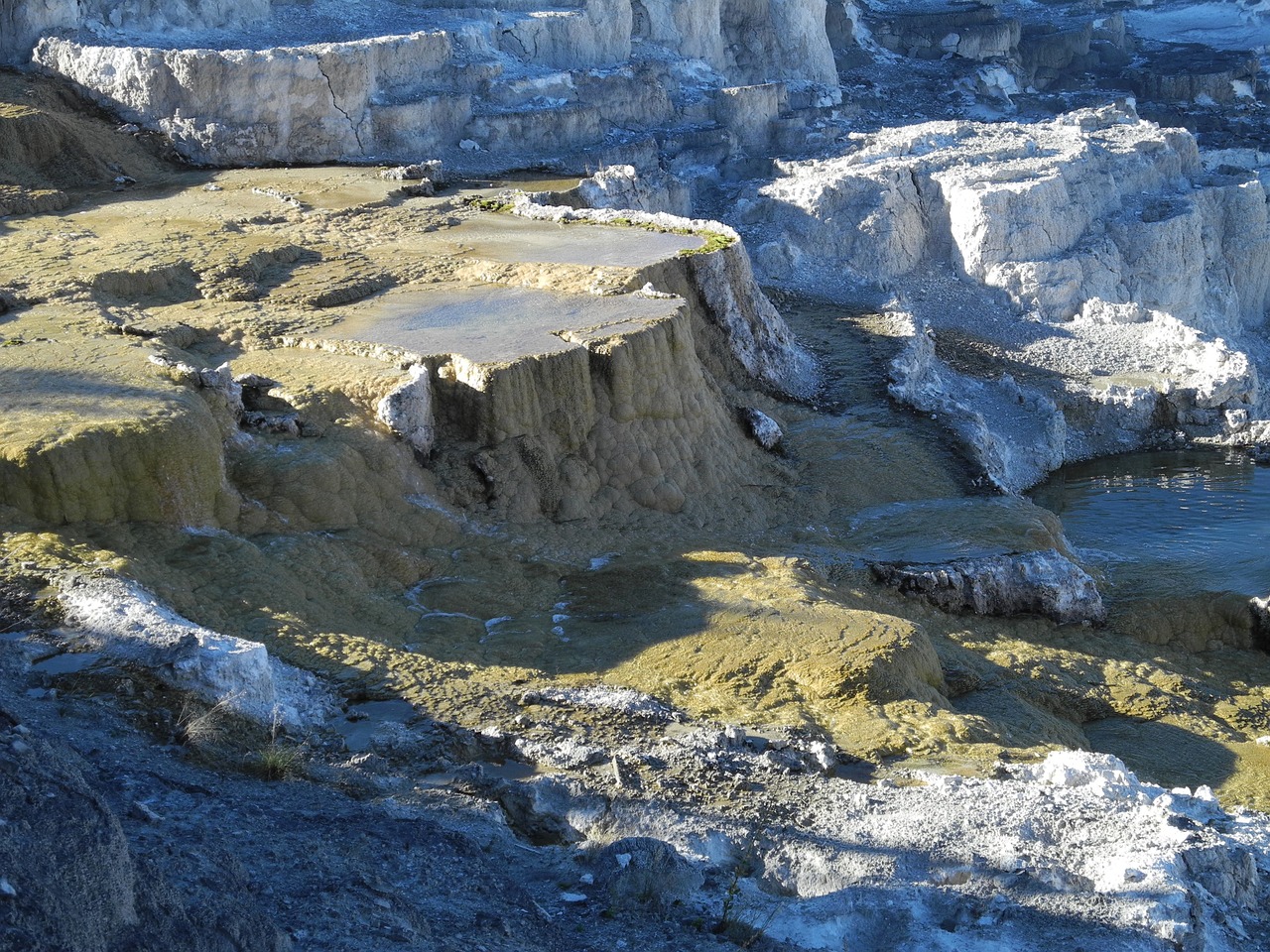 yellowstone national park mammoth hot springs wyoming free photo