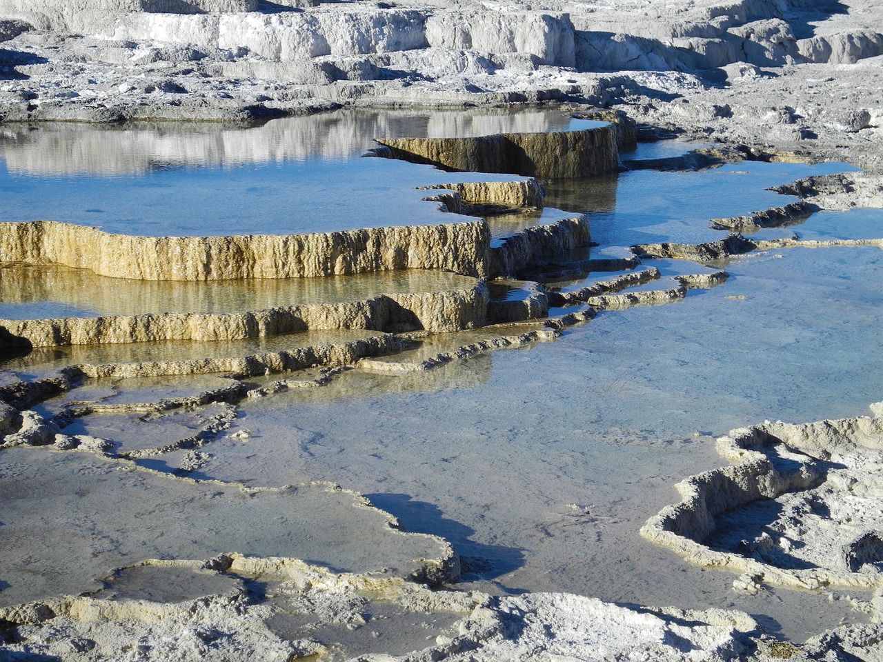 yellowstone national park mammoth hot springs wyoming free photo