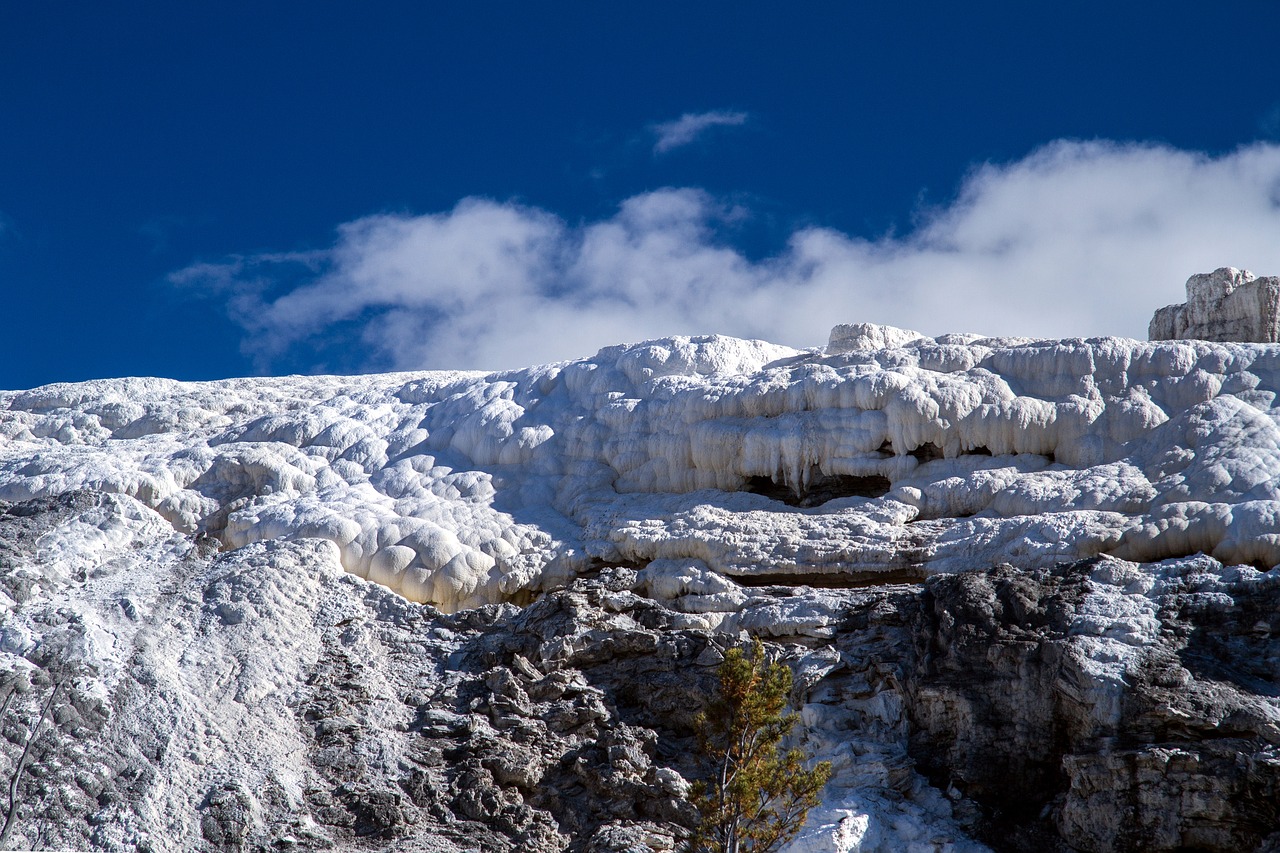 yellowstone national park wyoming usa free photo