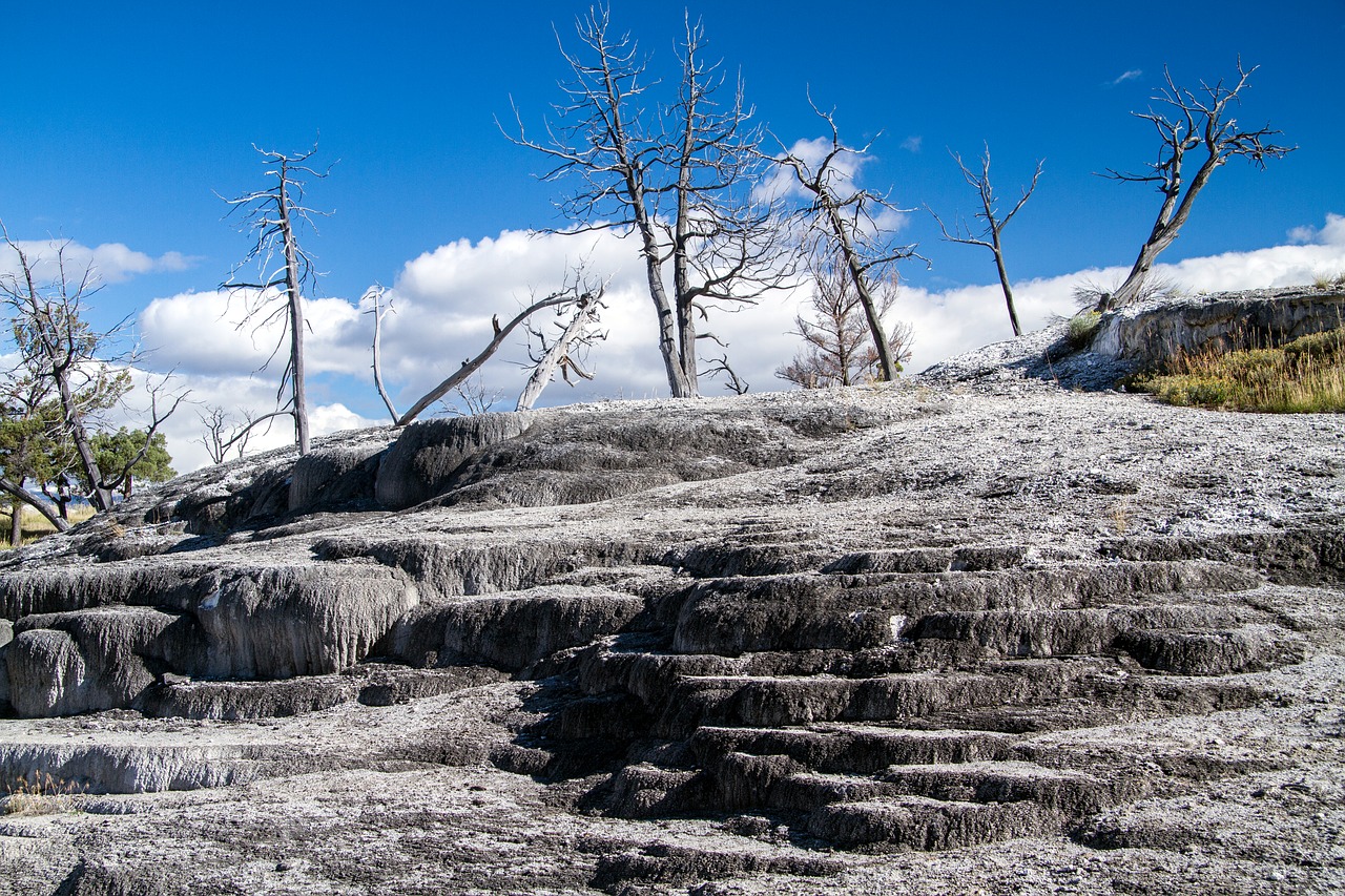 yellowstone national park wyoming usa free photo