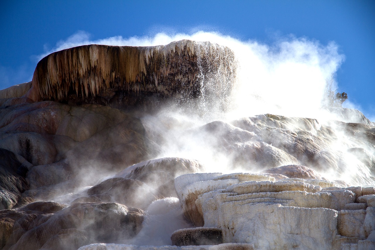 yellowstone national park wyoming usa free photo