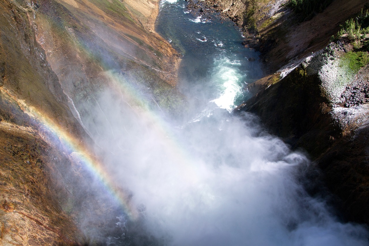 yellowstone national park lower falls waterfall free photo