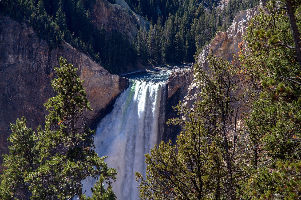 yellowstone national park lower falls waterfall free photo