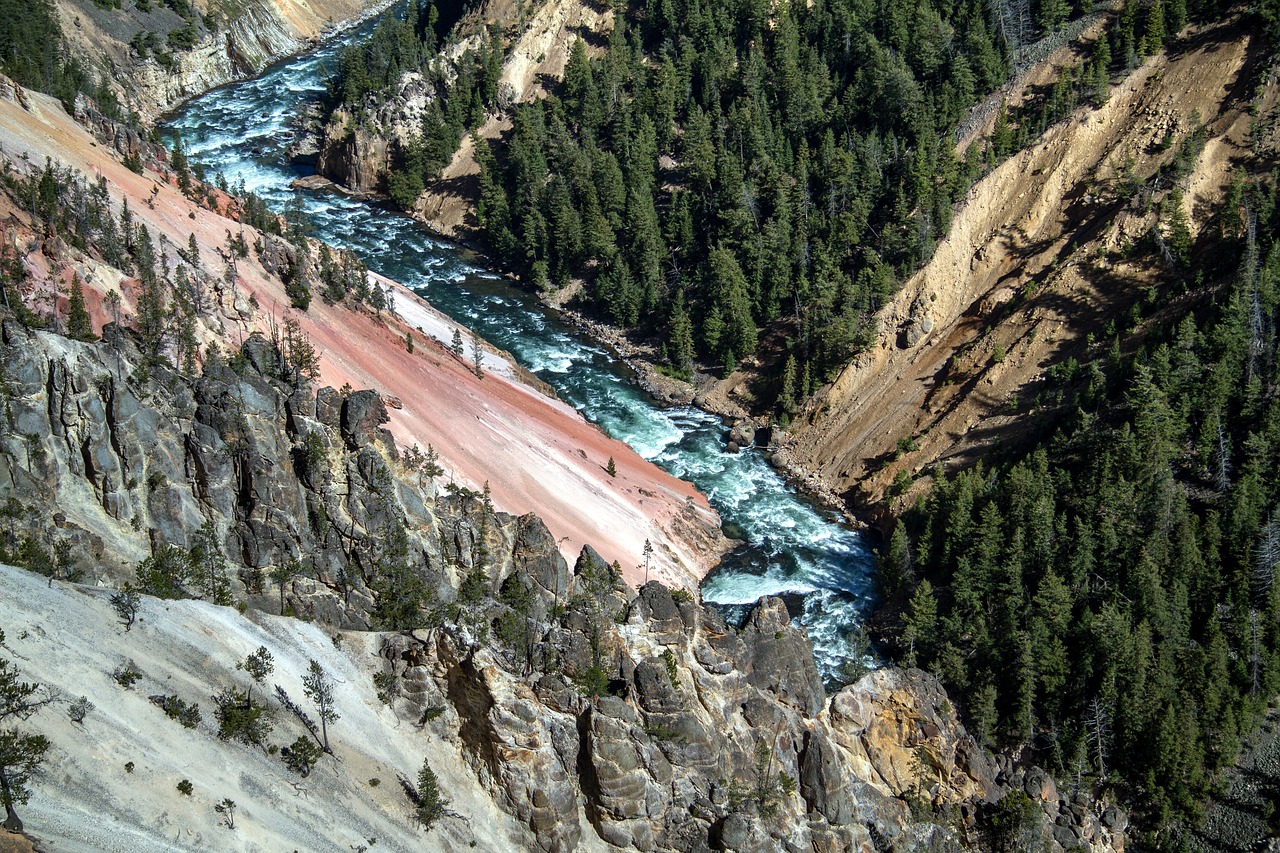 yellowstone national park wyoming usa free photo