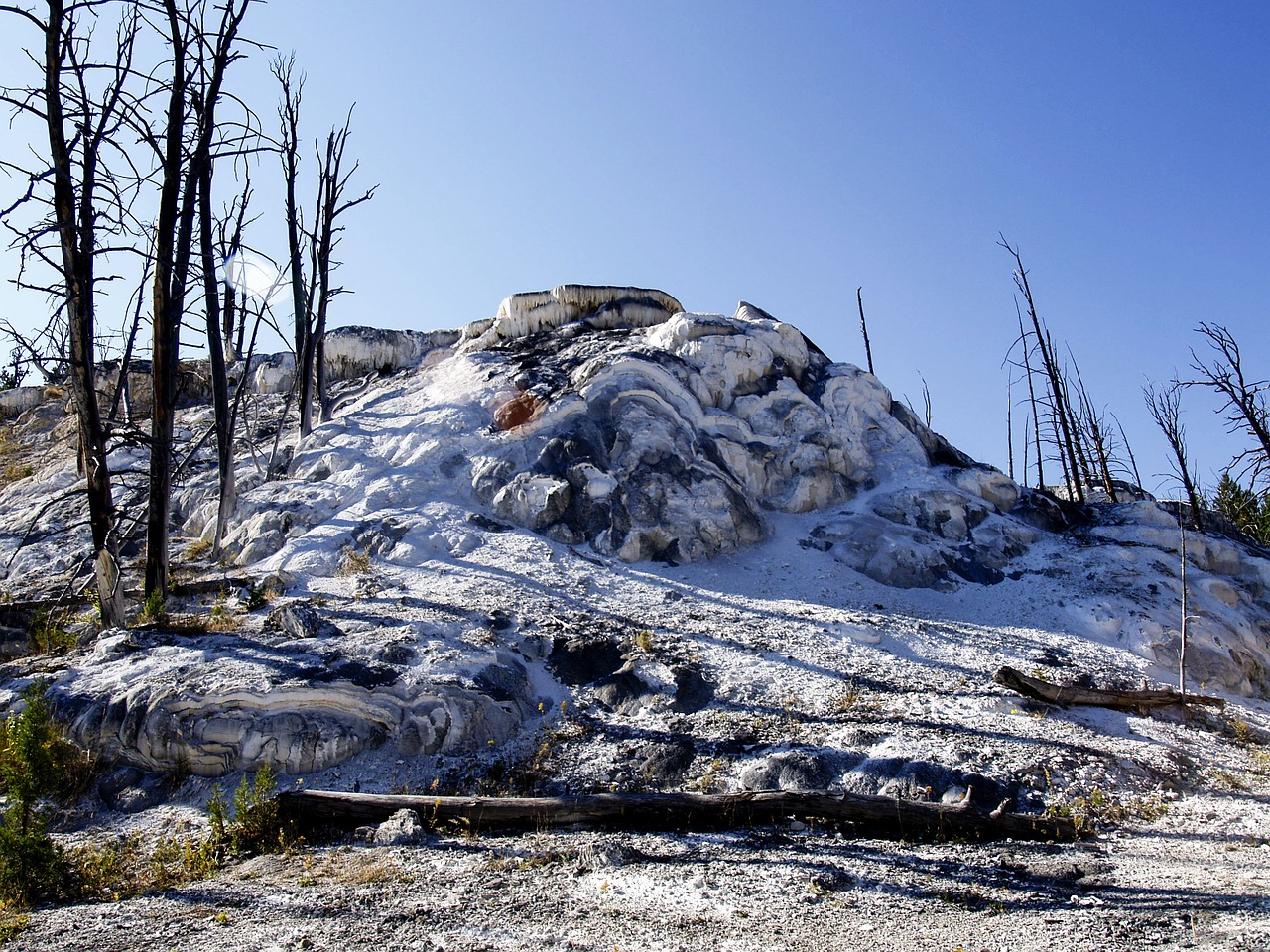 yellowstone national park wyoming usa free photo