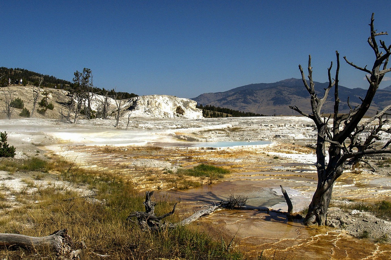 yellowstone national park wyoming usa free photo