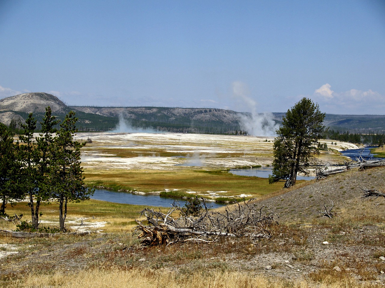 yellowstone national park wyoming usa free photo