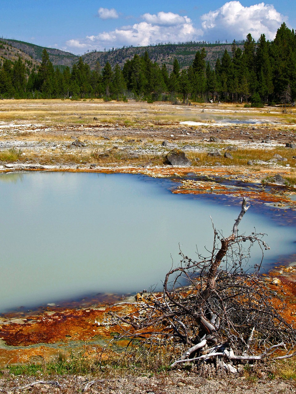 yellowstone national park wyoming usa free photo