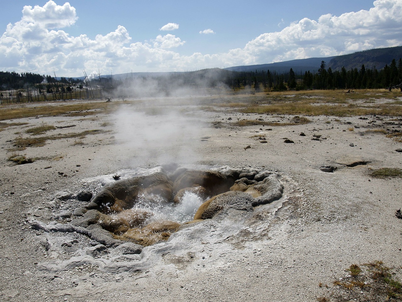 yellowstone national park wyoming usa free photo