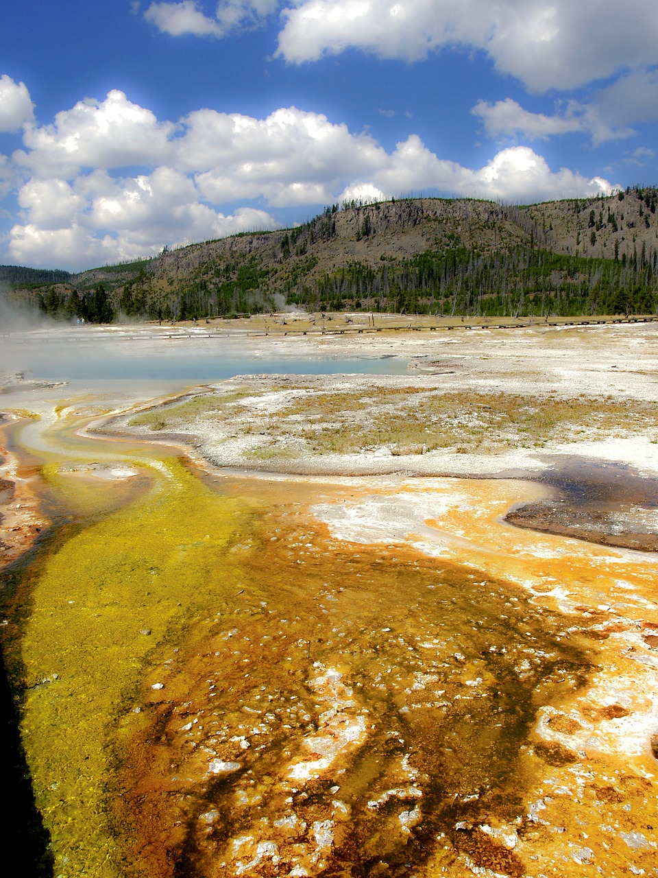 yellowstone national park wyoming usa free photo