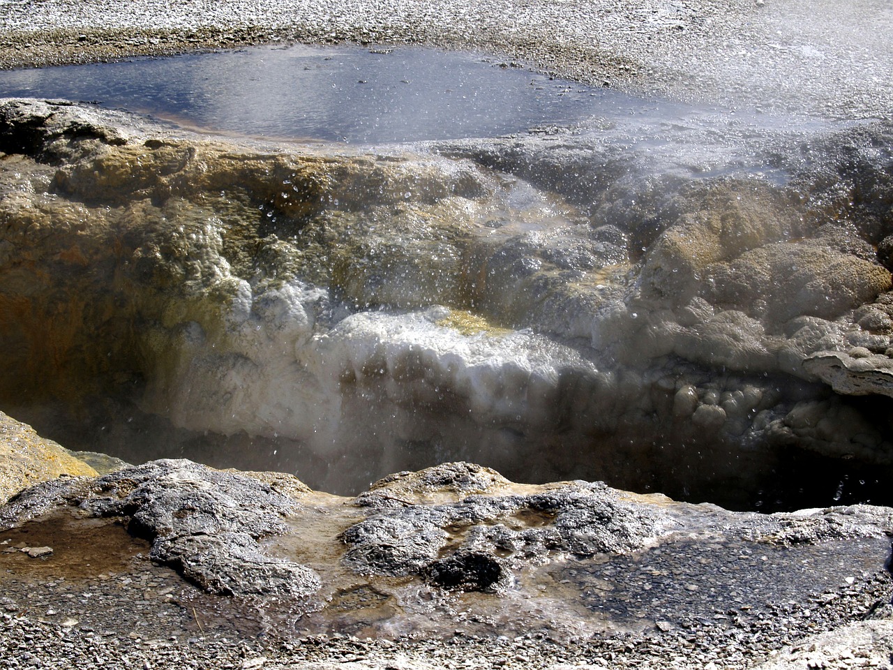 yellowstone national park wyoming usa free photo