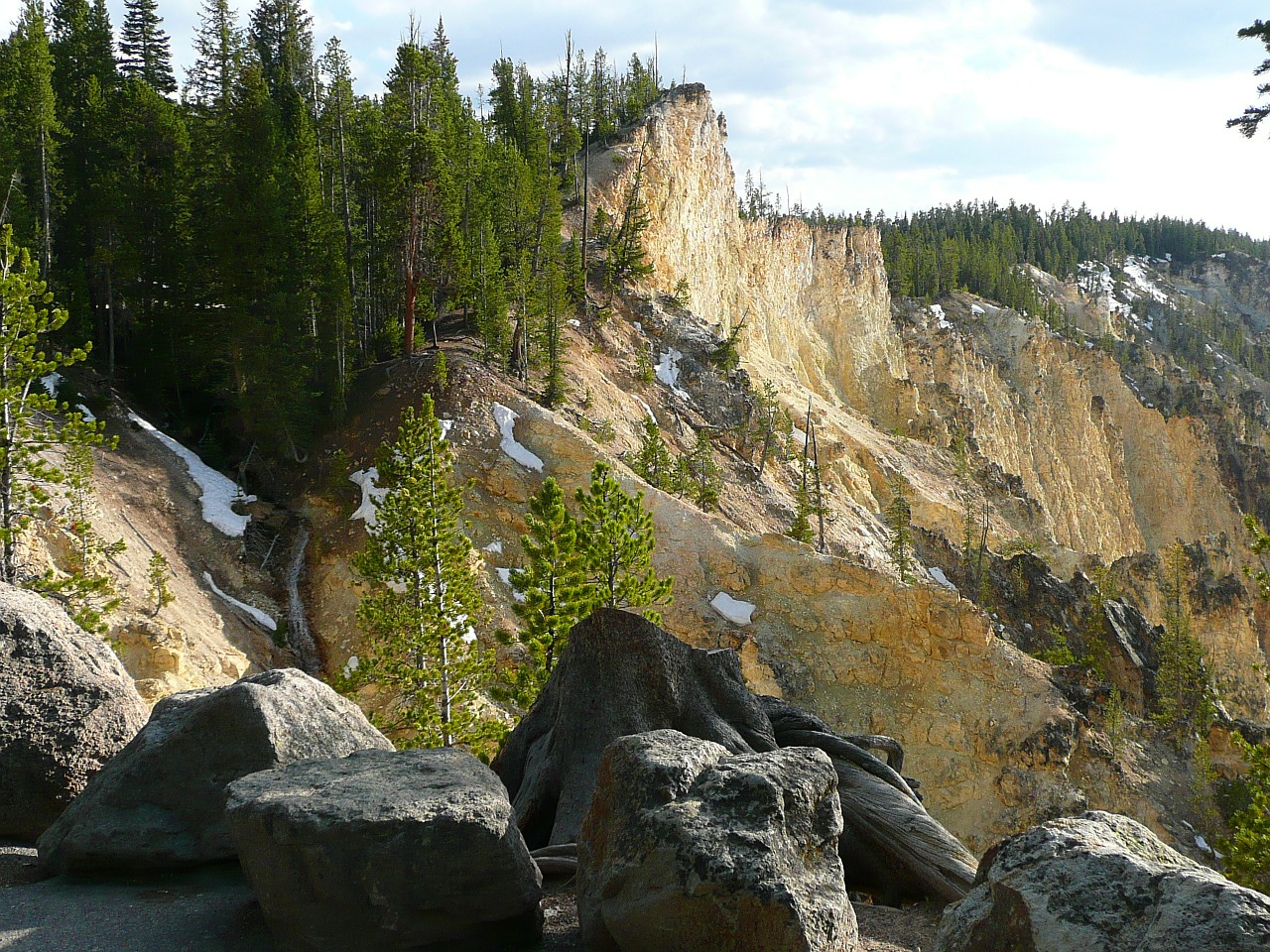 yellowstone national park wyoming usa free photo