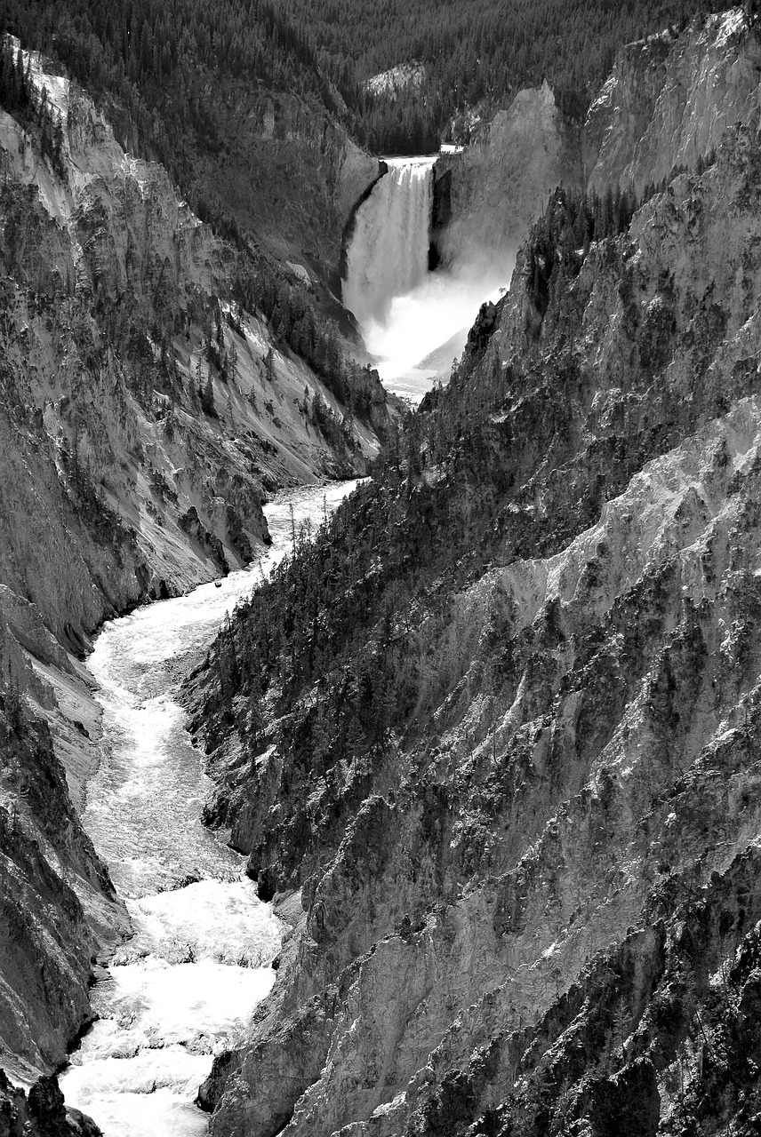 yellowstone national park river nature free photo