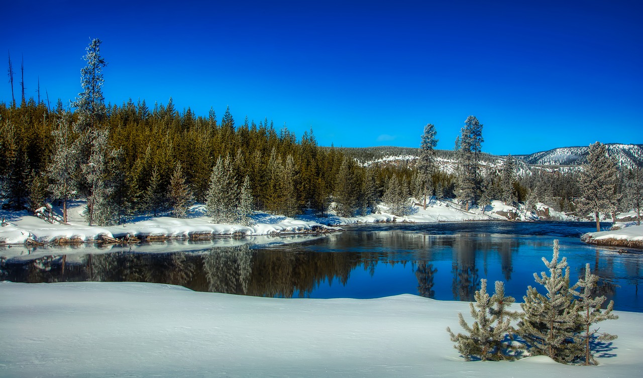 yellowstone national park  wyoming  america free photo