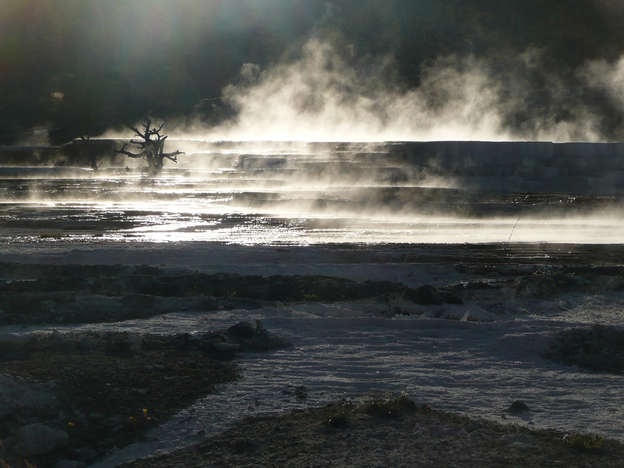 yellowstone national park wyoming terrace free photo