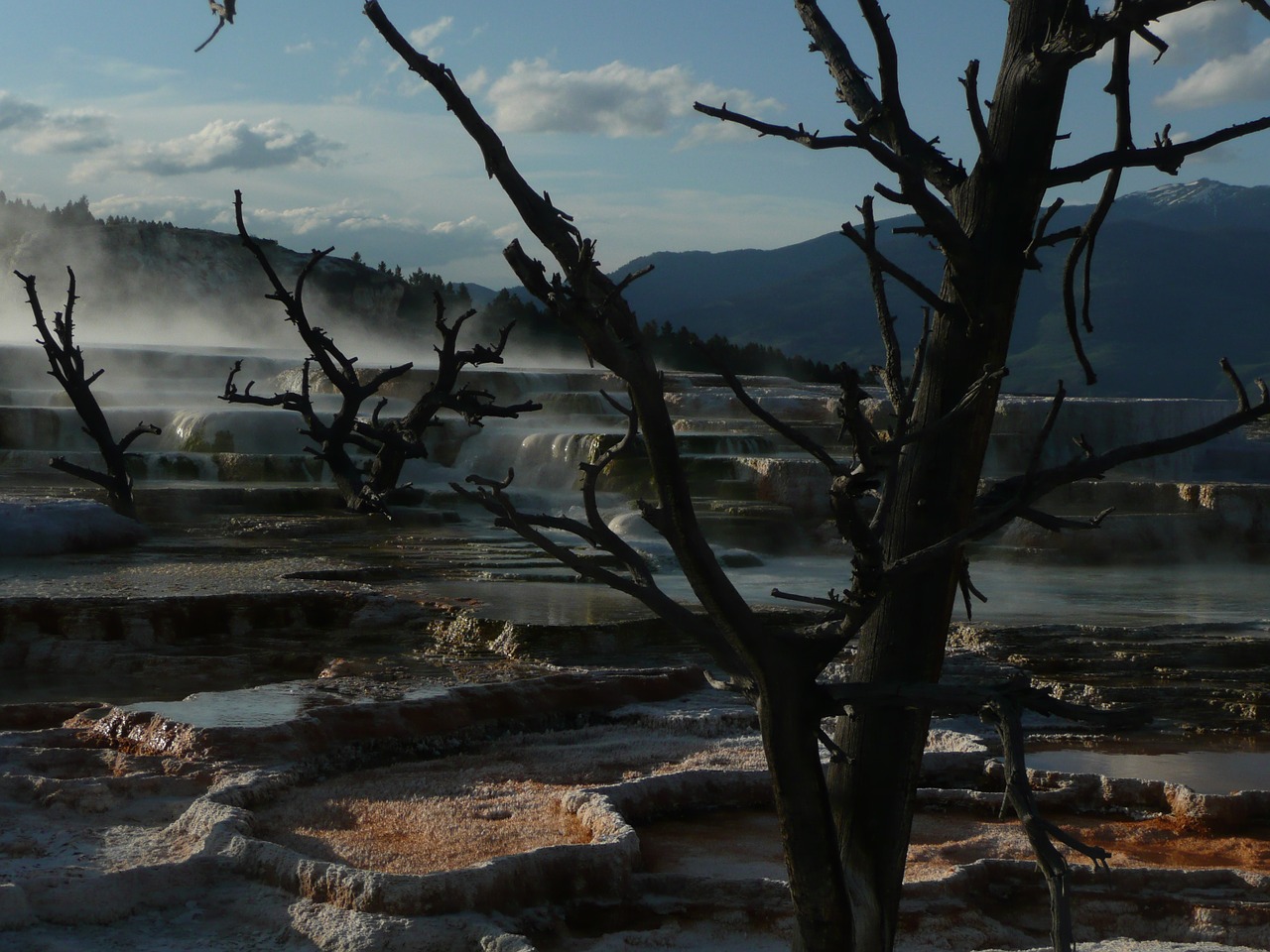 yellowstone national park wyoming terrace free photo