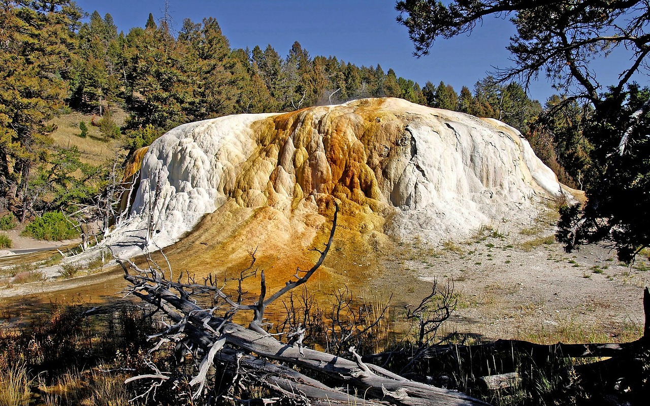 yellowstone national park orange spring mound sediment free photo