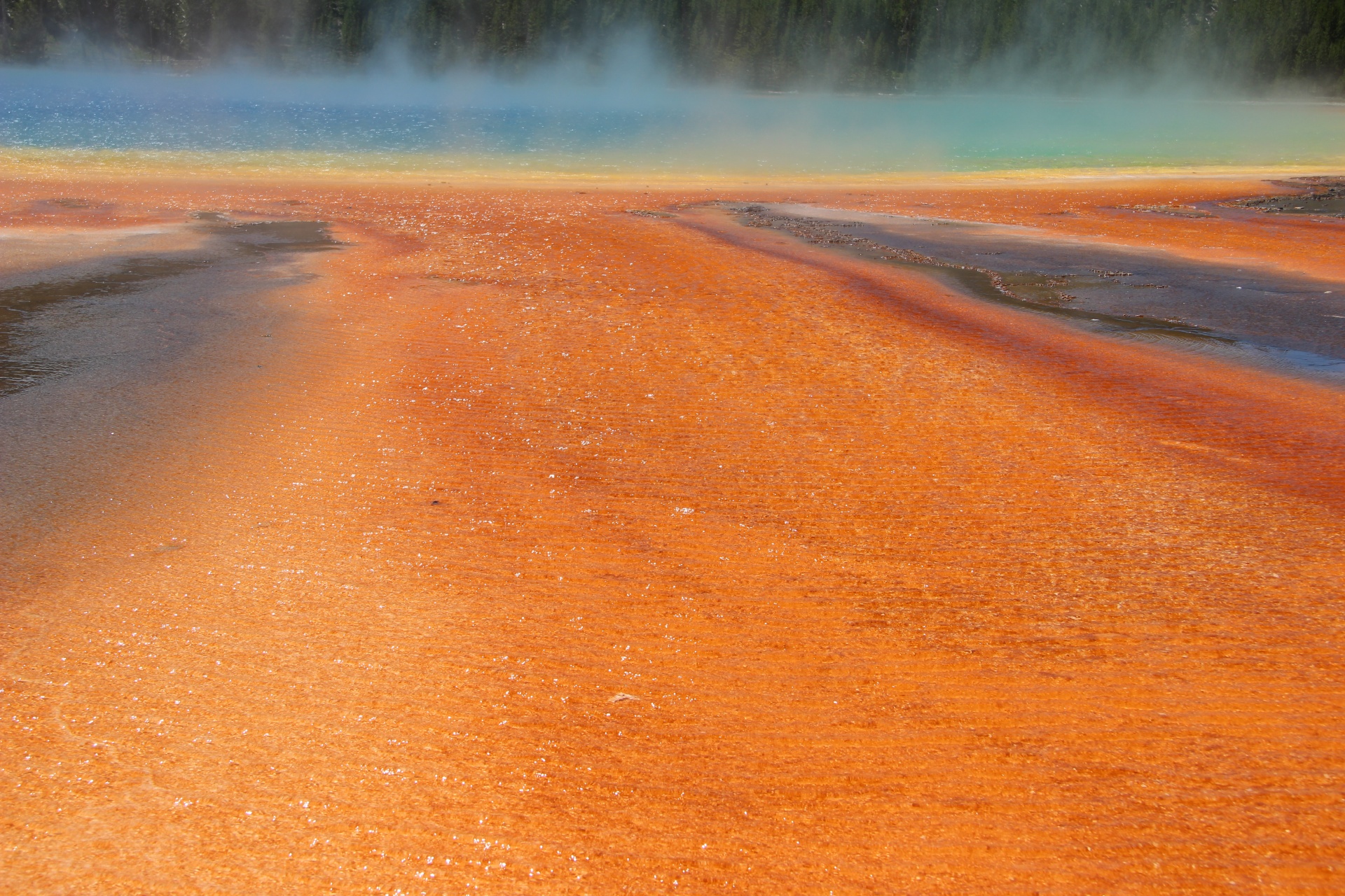 yellowstone hot springs free photo
