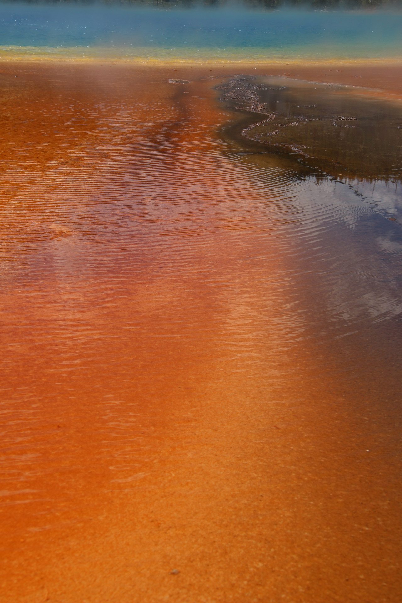 yellowstone hot springs free photo