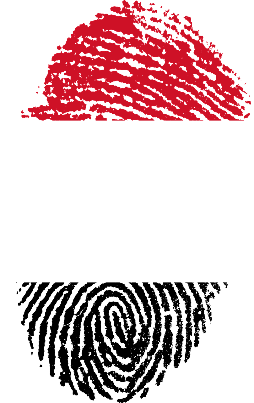 yemen flag fingerprint free photo
