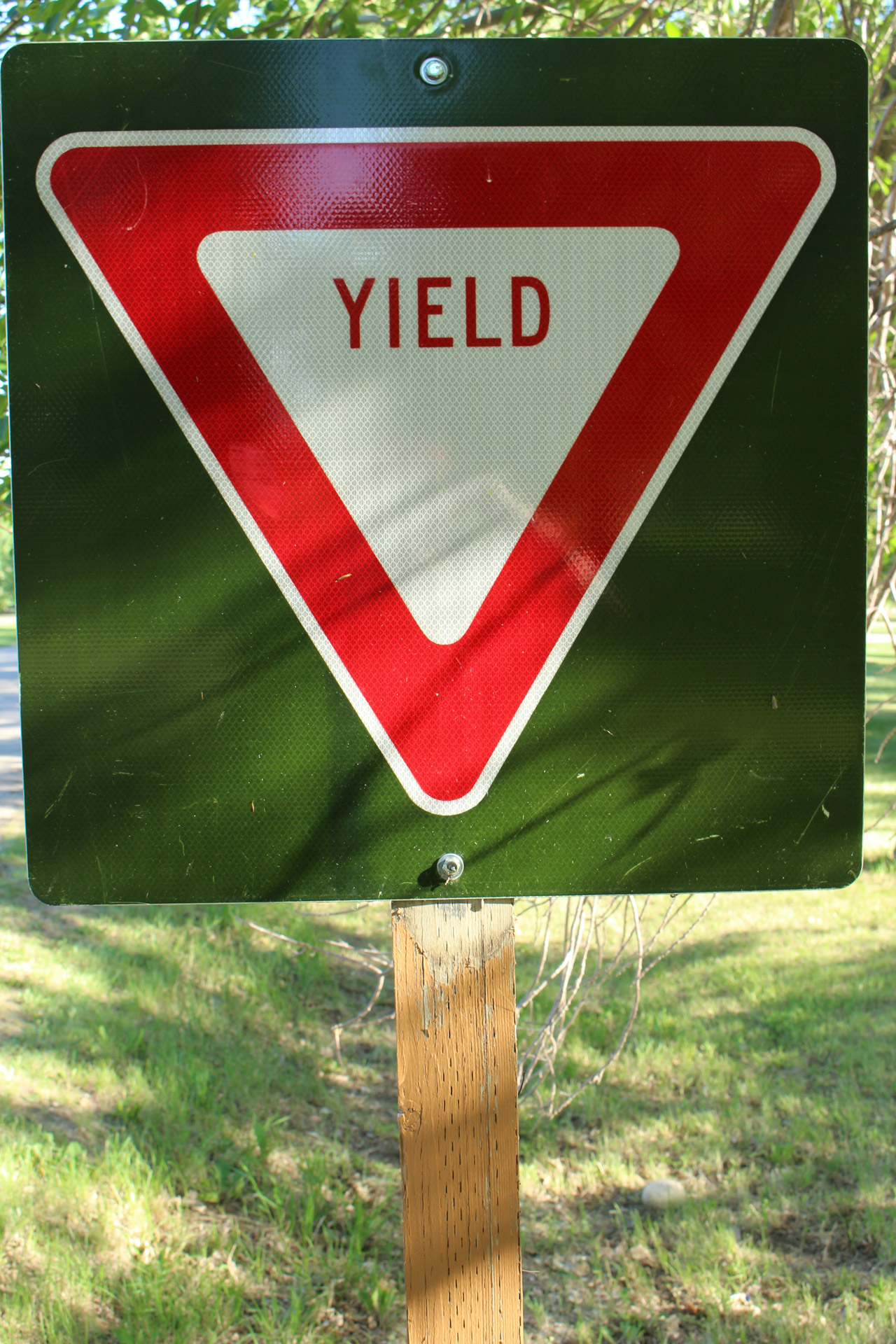 yield road sign free photo