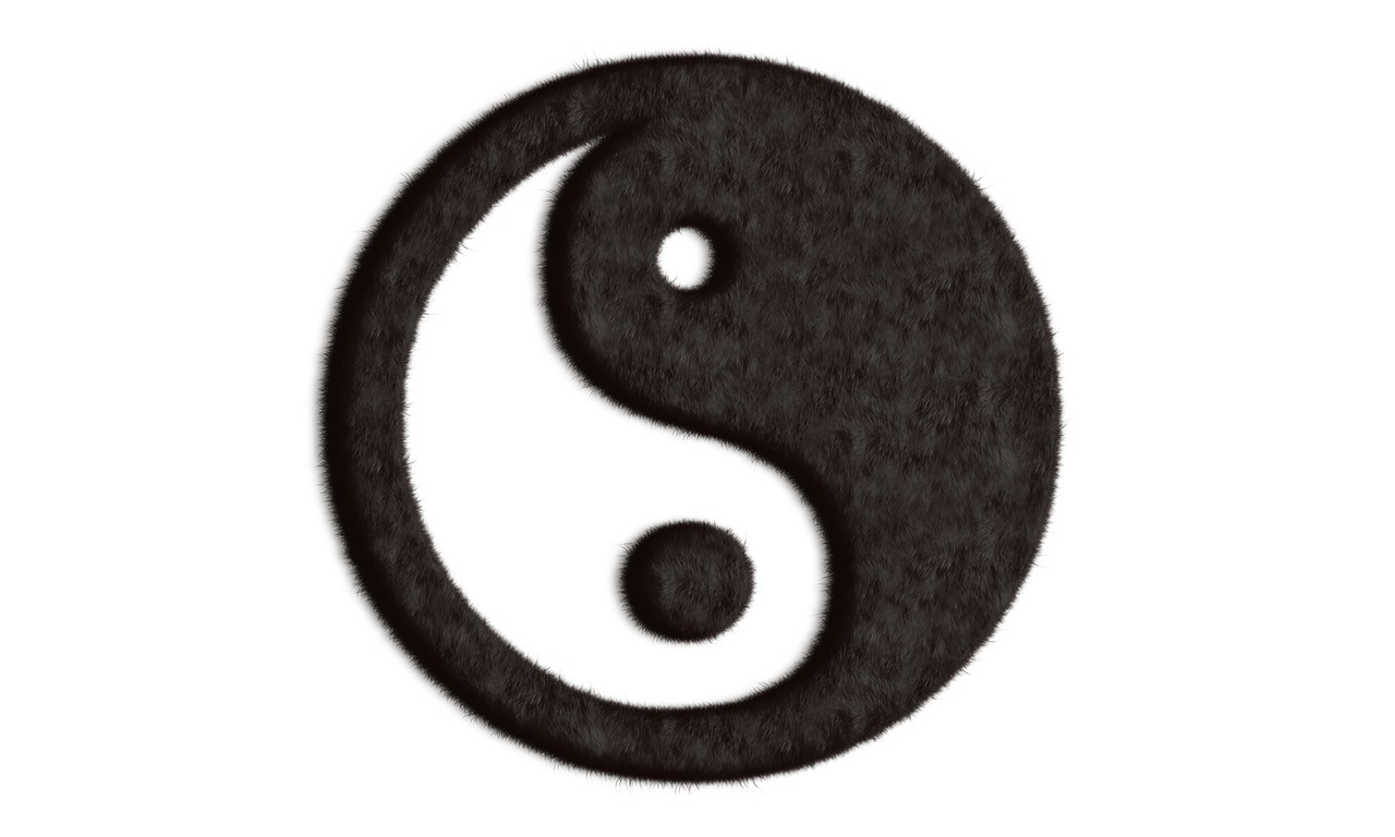 yin yang  balance  zen free photo