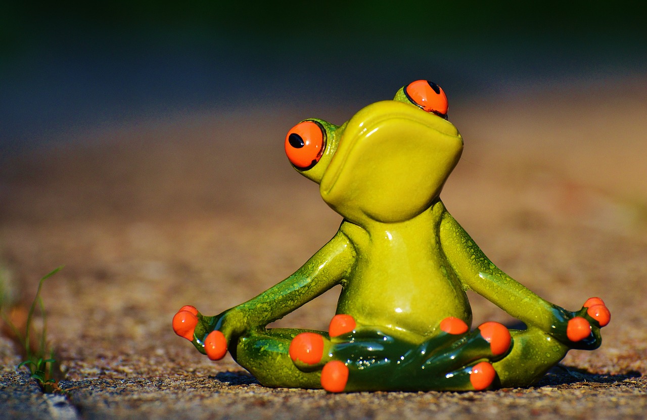 yoga frog relaxed free photo