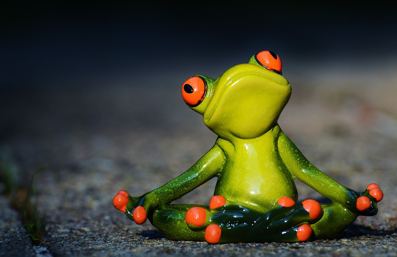 yoga frog relaxed free photo