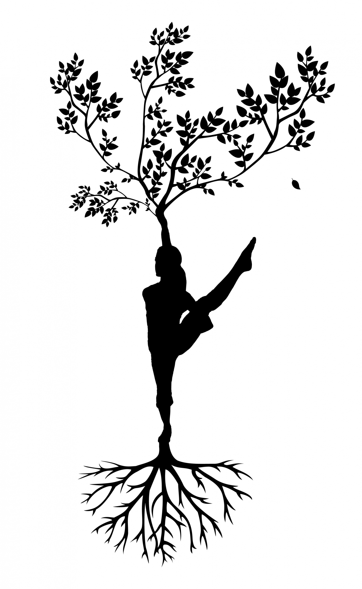 silhouette women tree free photo