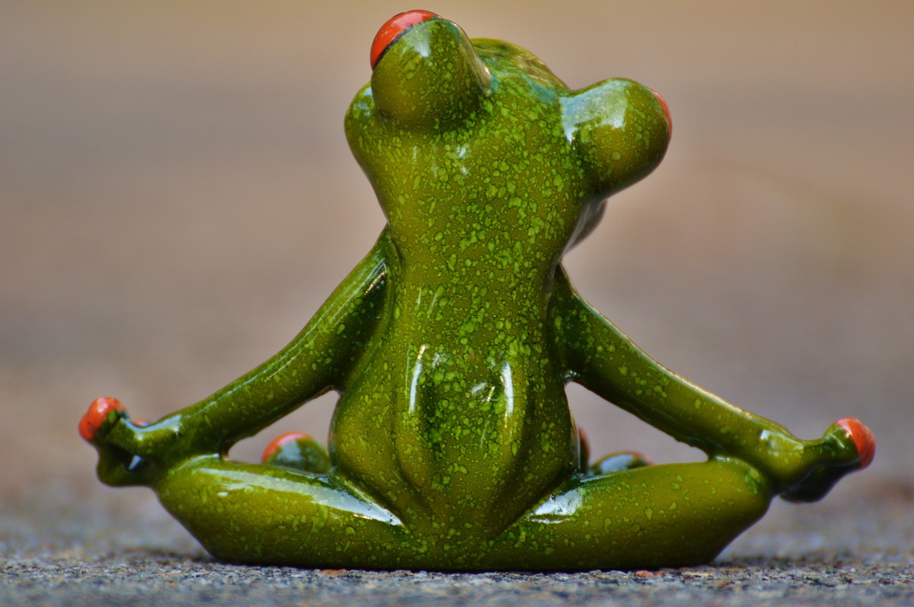 yoga frog relaxed free photo