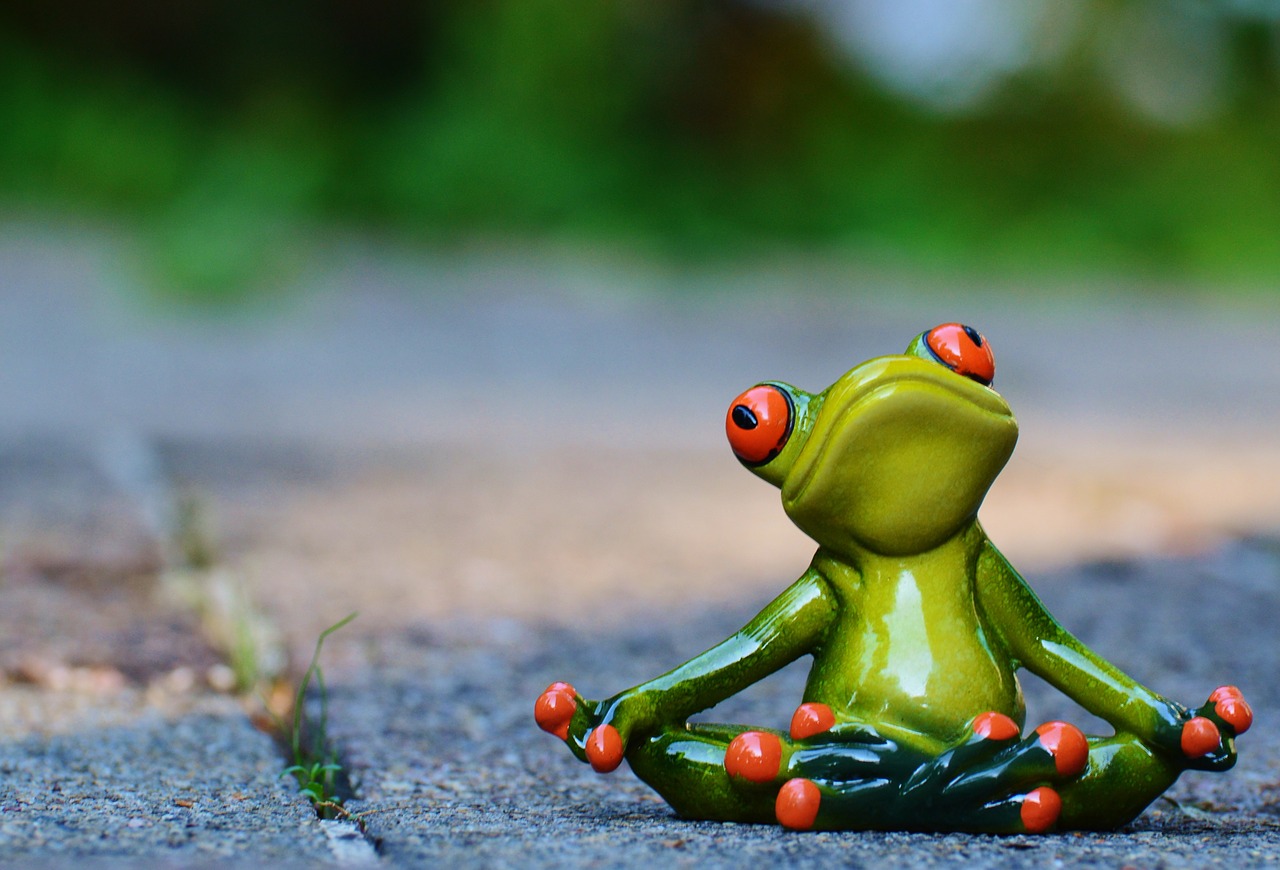 yoga frog relaxed free photo