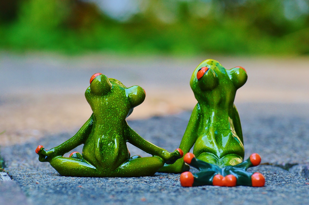 yoga frogs relaxed free photo