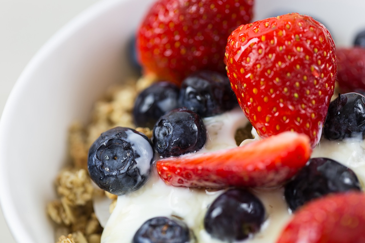 yogurt granola cereal free photo