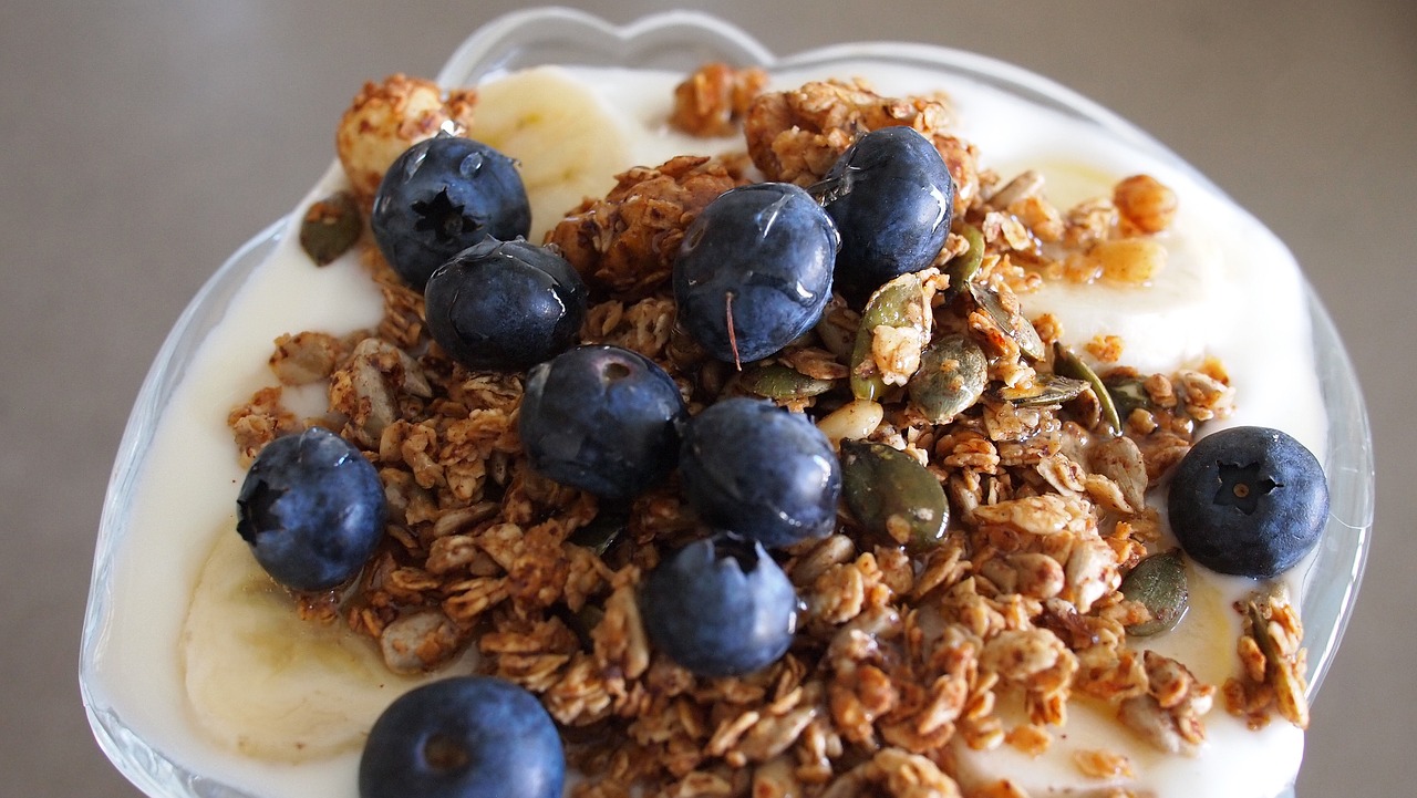 yogurt granola blueberries free photo