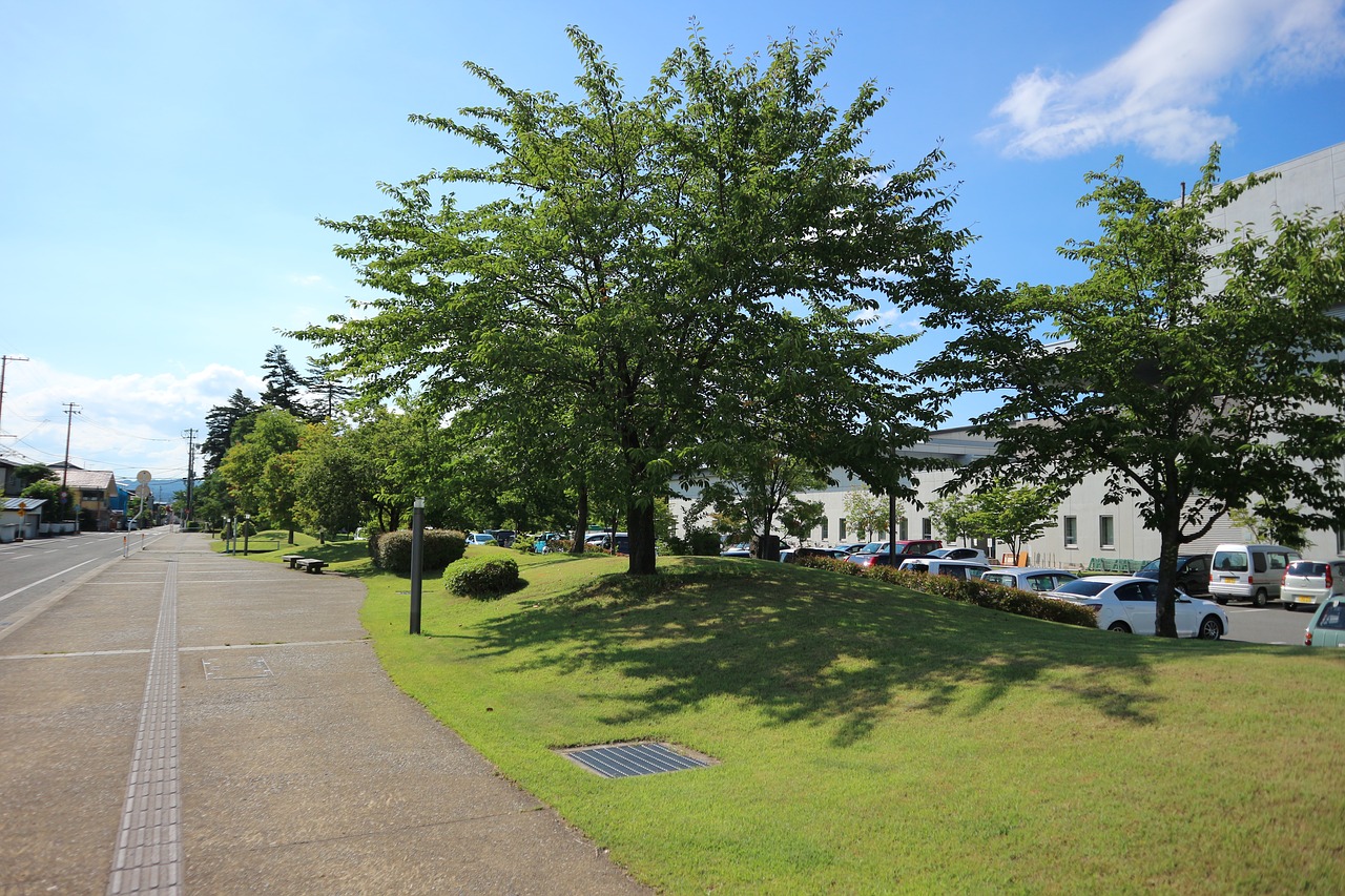 yonezawa in the early summer tree-lined avenue free photo