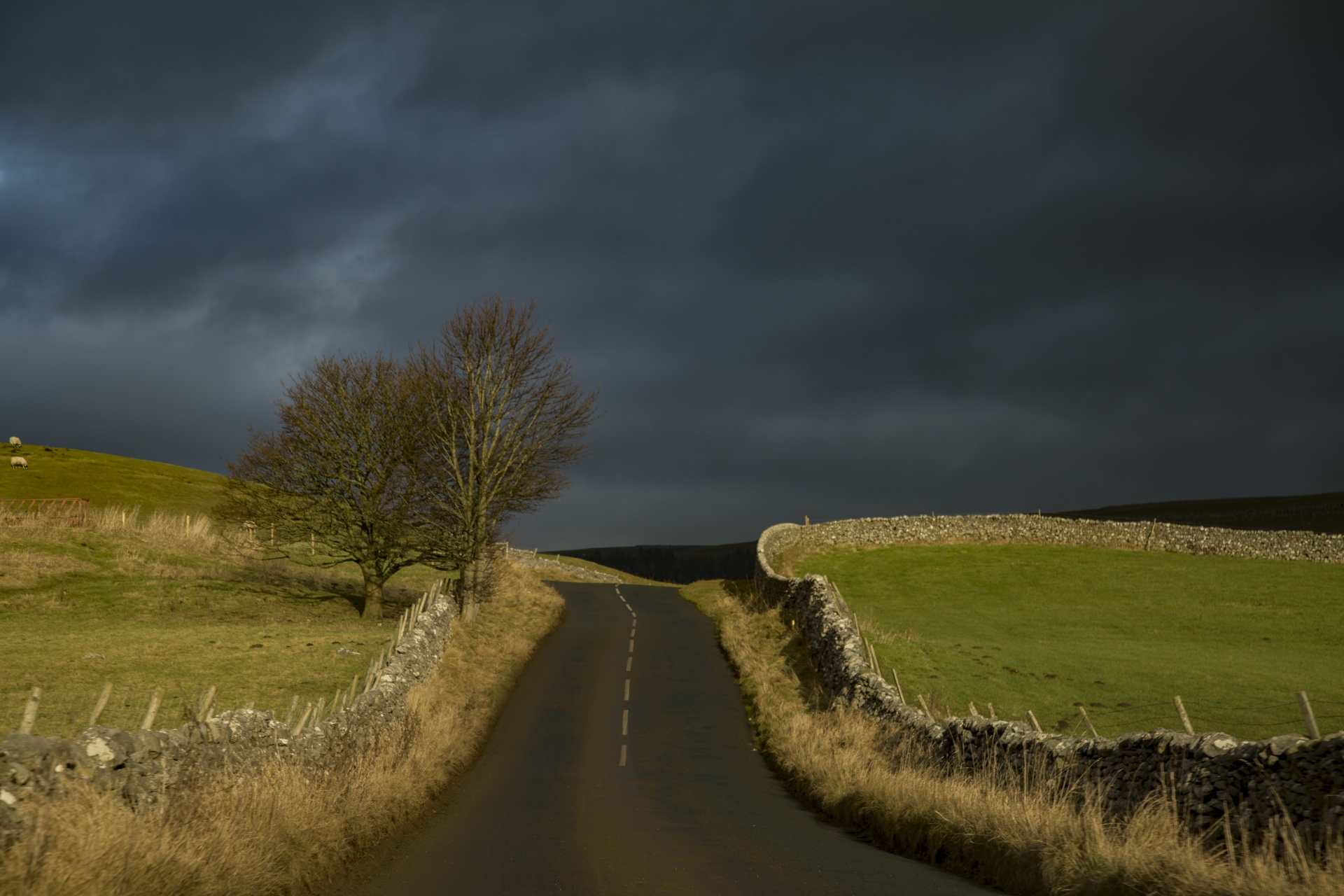 yorkshire landscape nature free photo