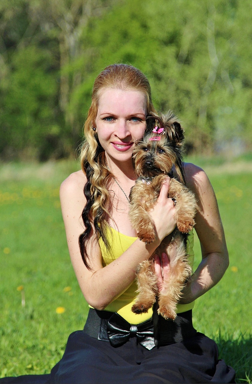 yorkshire terrier blonde woman friendship free photo