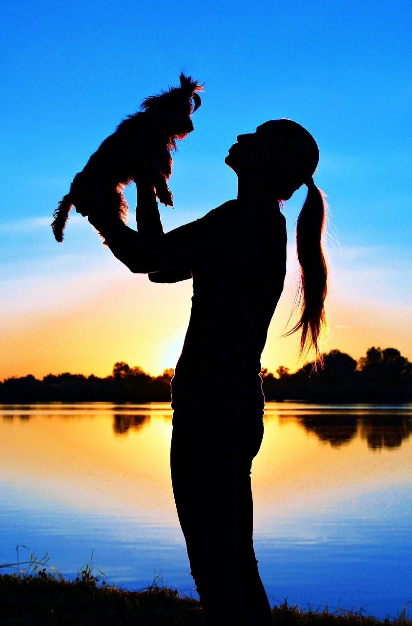 yorkshire terrier woman silhouette free photo