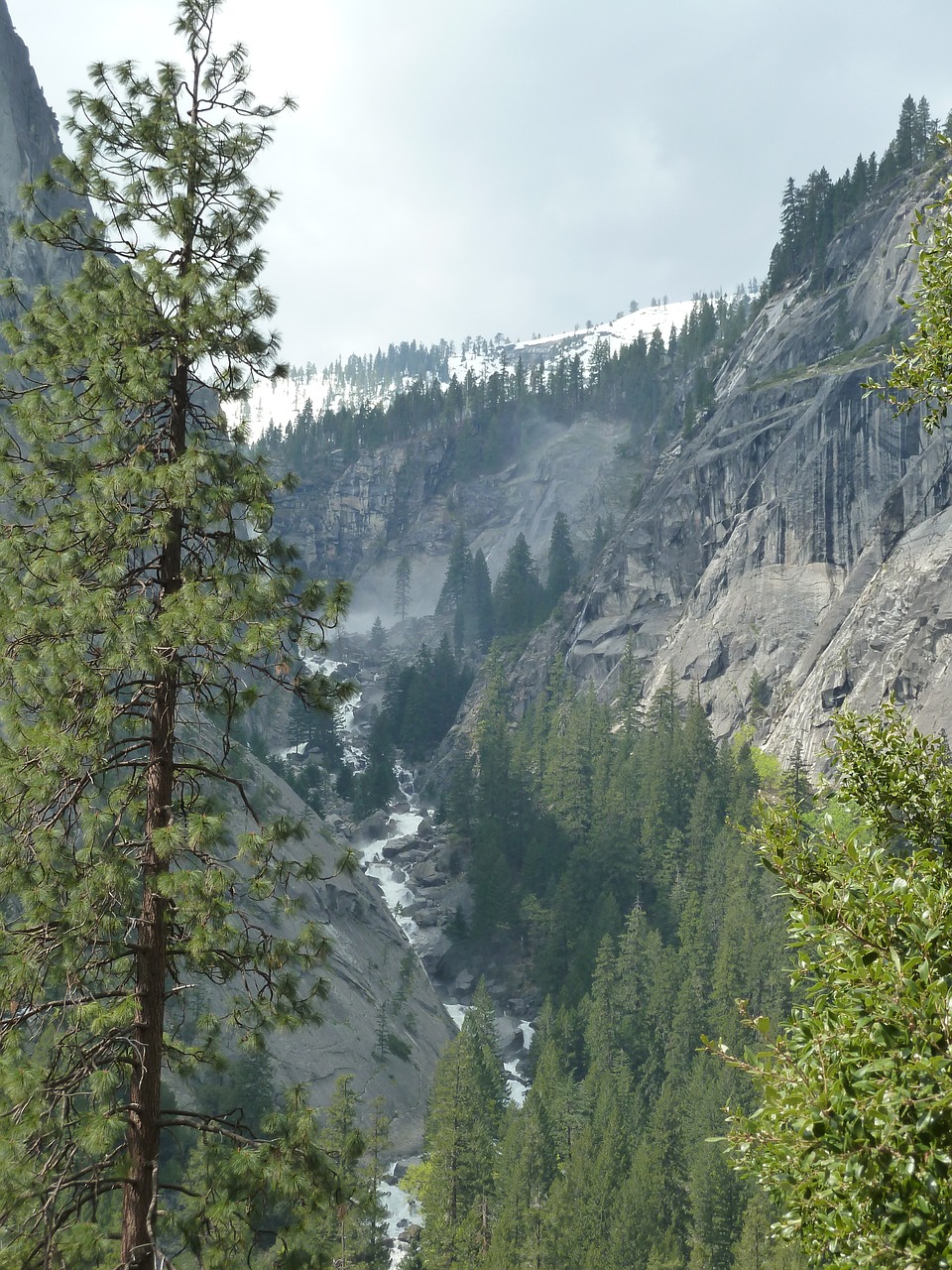 yosemite mountains woods free photo