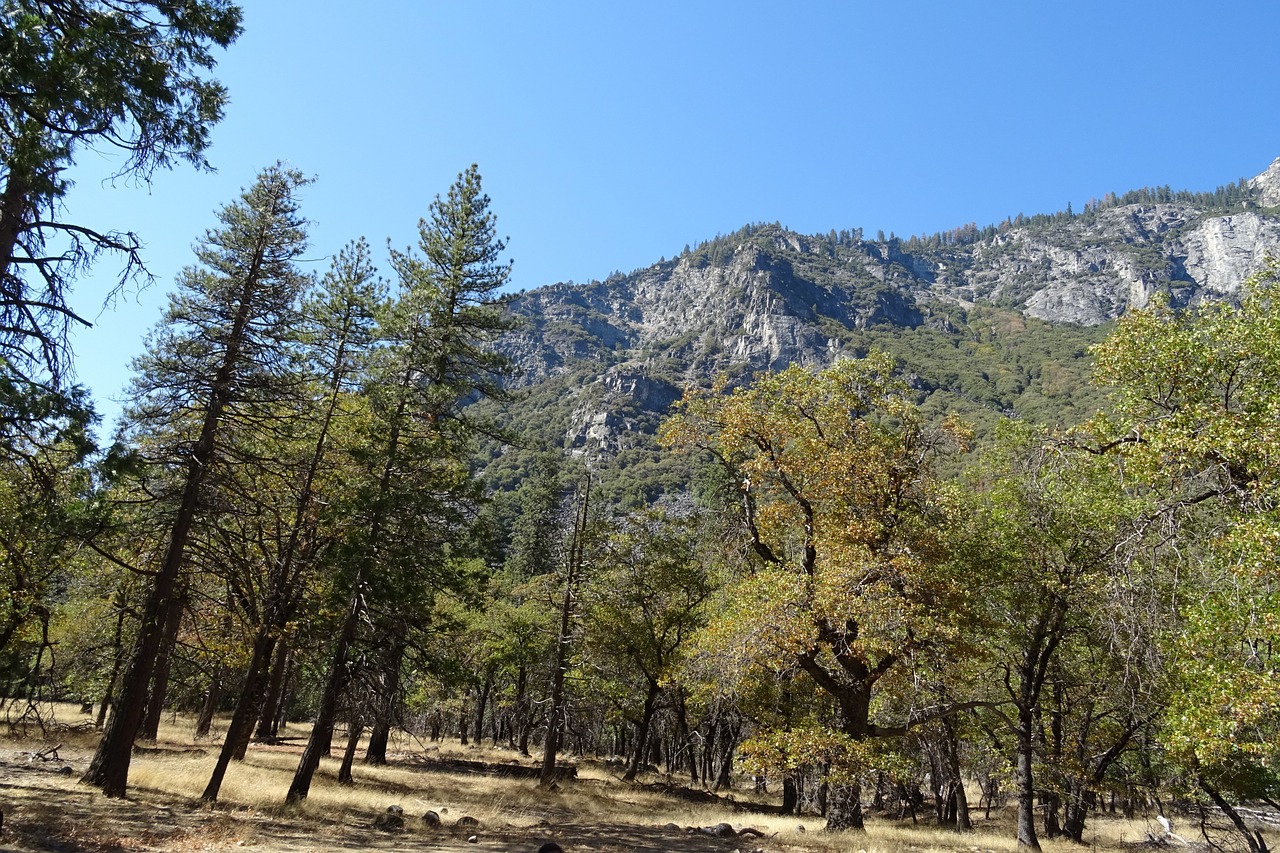 yosemite national park rock formation free photo