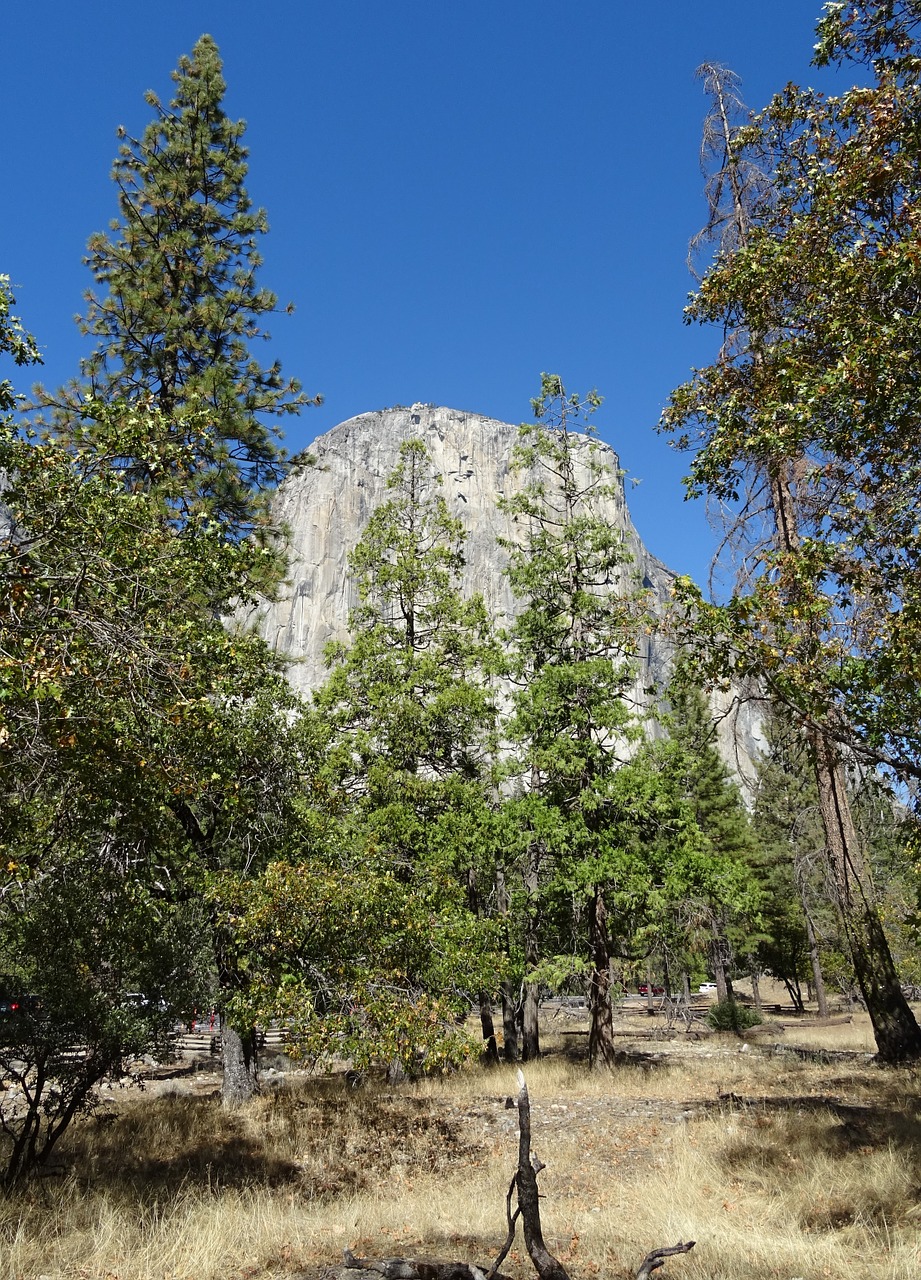 yosemite national park el capitan free photo