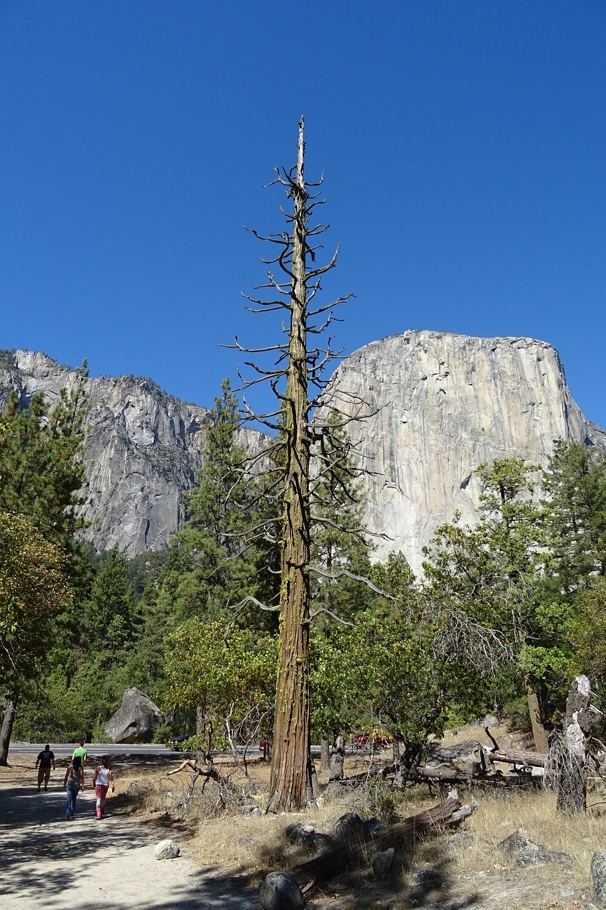 yosemite national park el capitan free photo