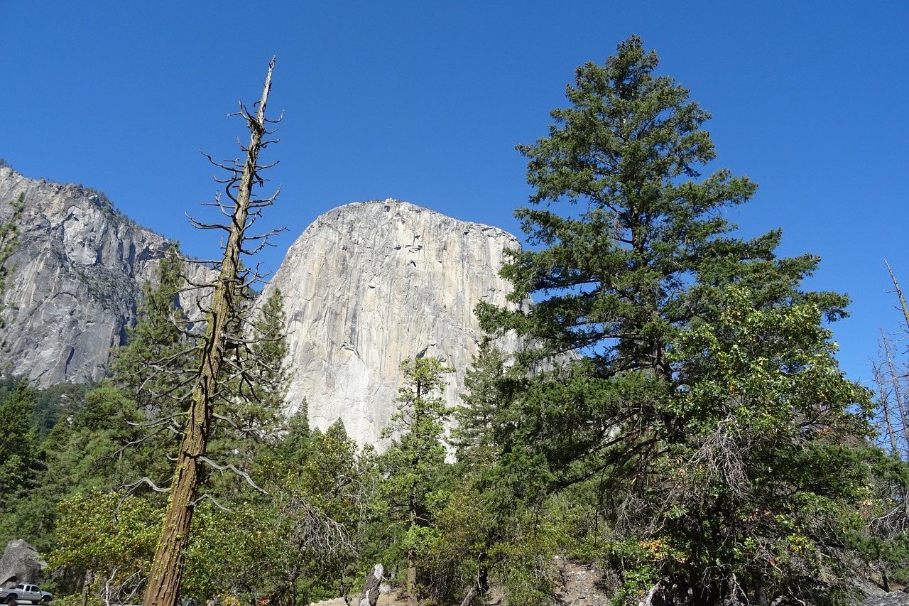 yosemite national park el capitan free photo