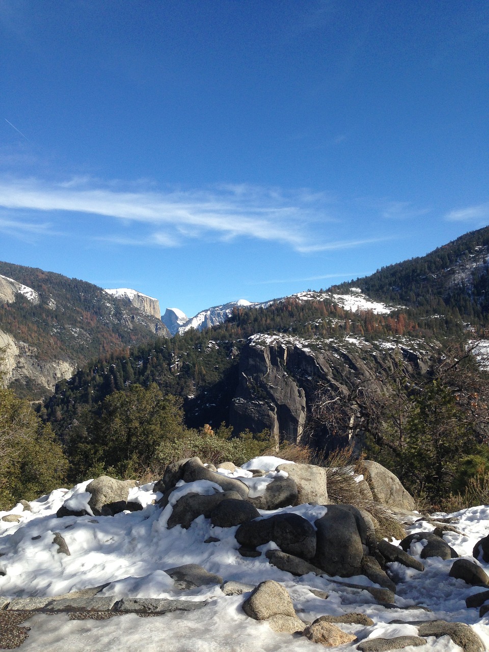 yosemite forest scenic free photo