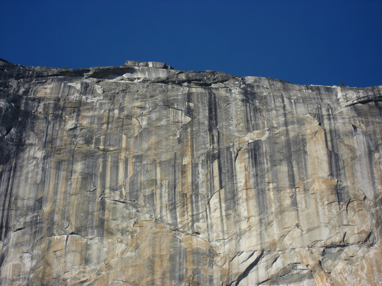 yosemite park natural free photo