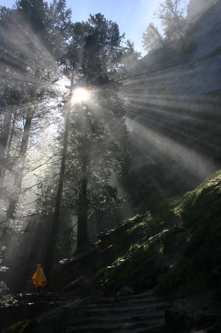 yosemite nature hiking free photo