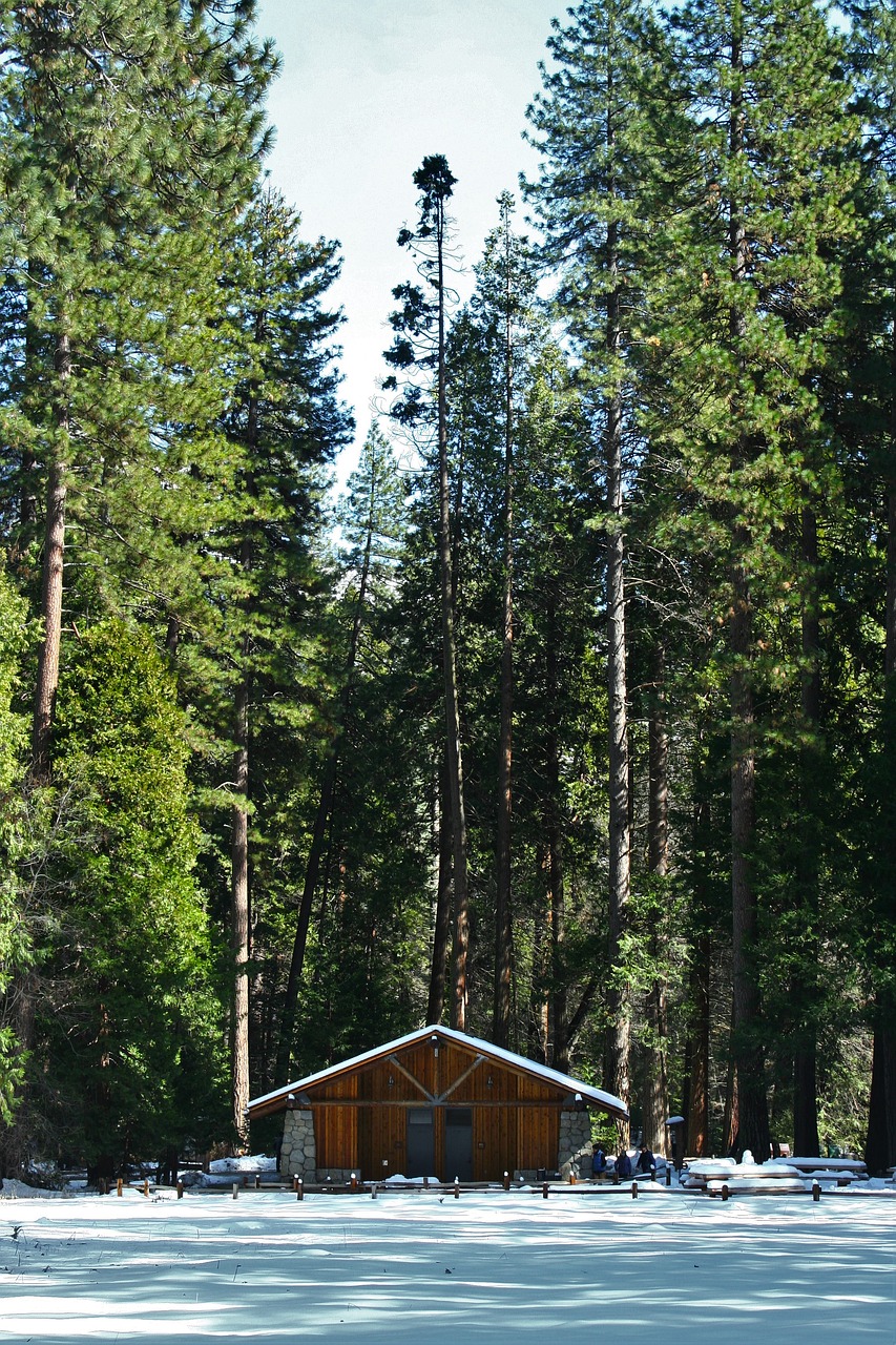 yosemite log house mountain hut free photo