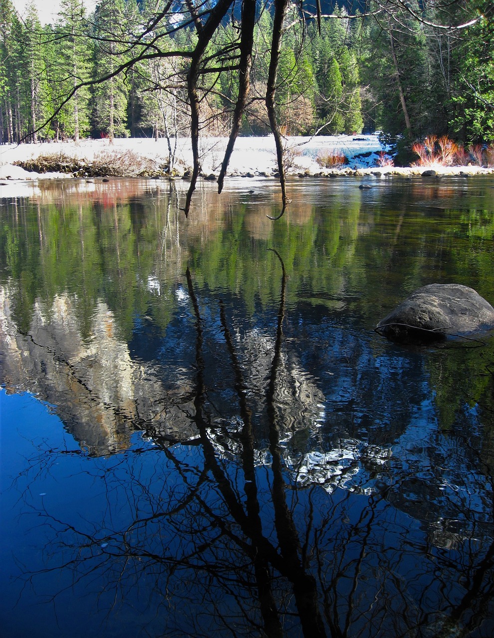 yosemite river surface of the river free photo
