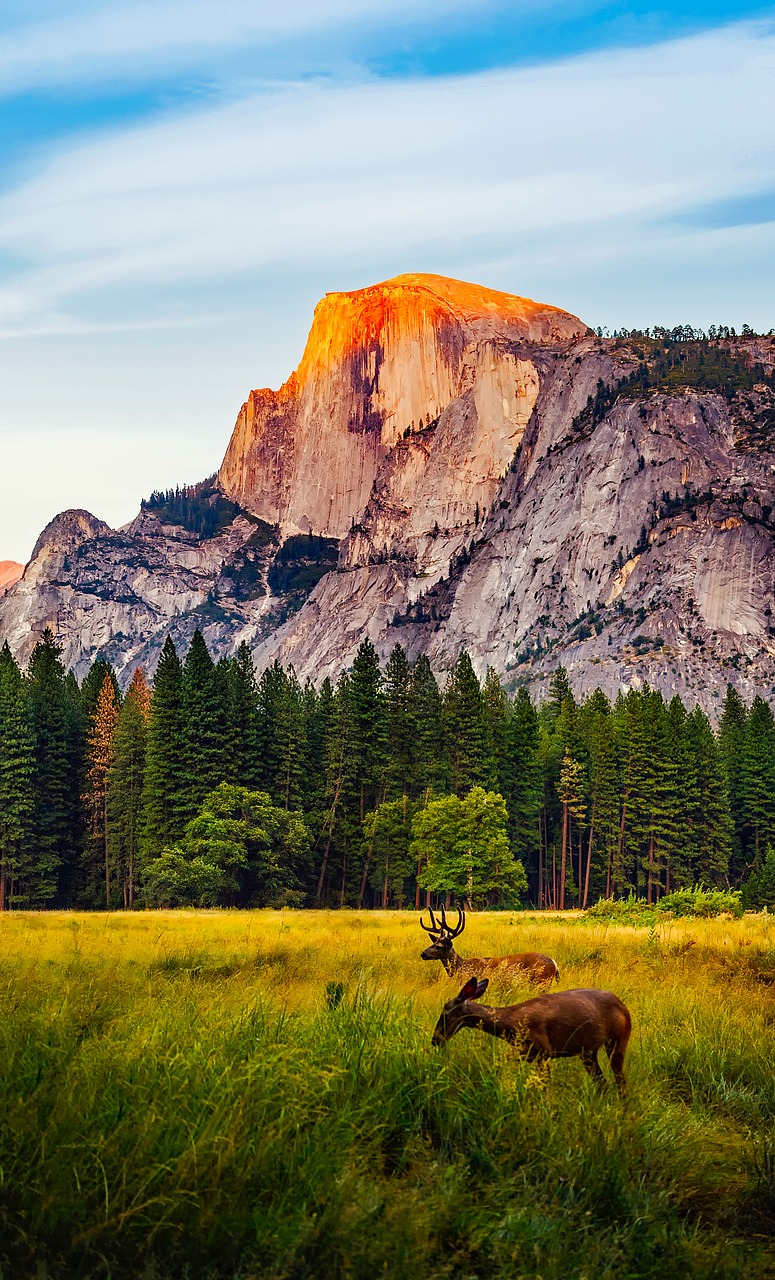 yosemite national park california free photo