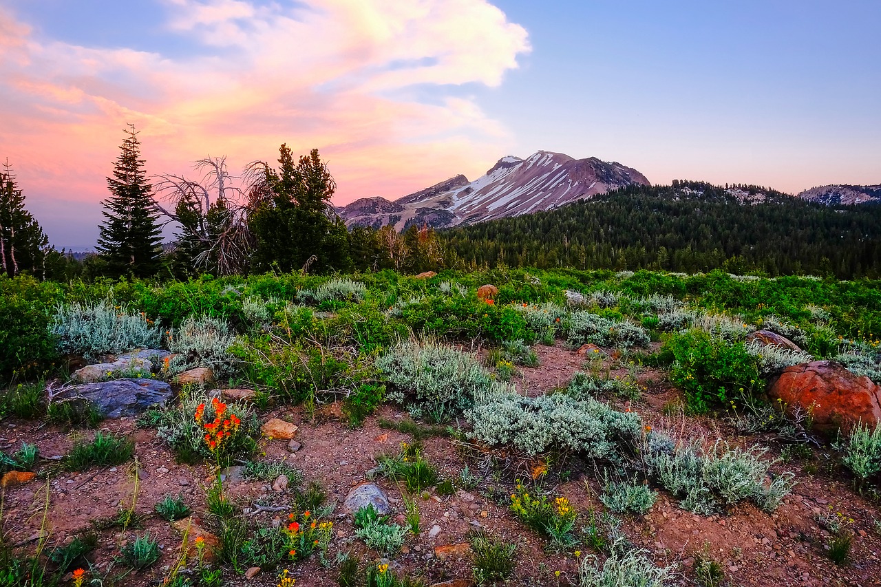 yosemite national park california free photo